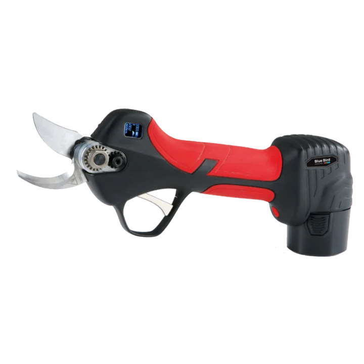 5100022_skarje_22-23- Blue_Bird